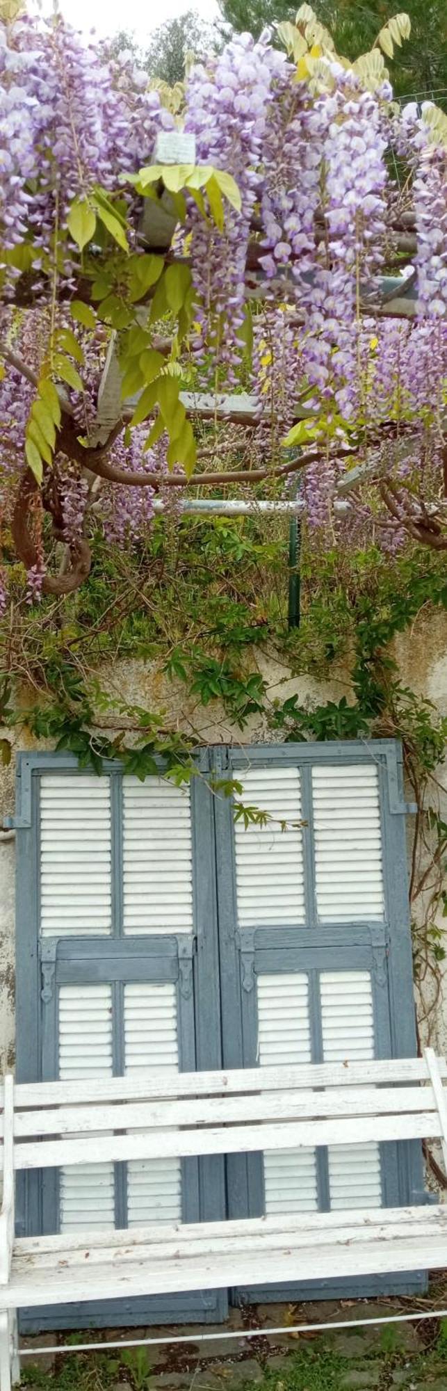 Message In A Bottle Bed And Breakfast Camporosso  Esterno foto